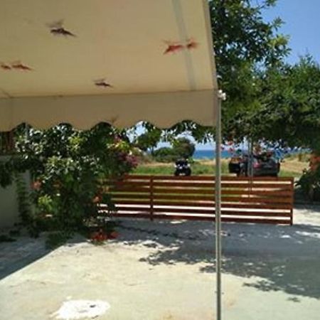 Kitesurf Paradise Studios Theológos 외부 사진