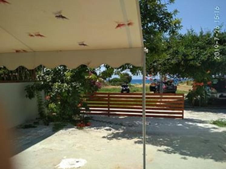 Kitesurf Paradise Studios Theológos 외부 사진